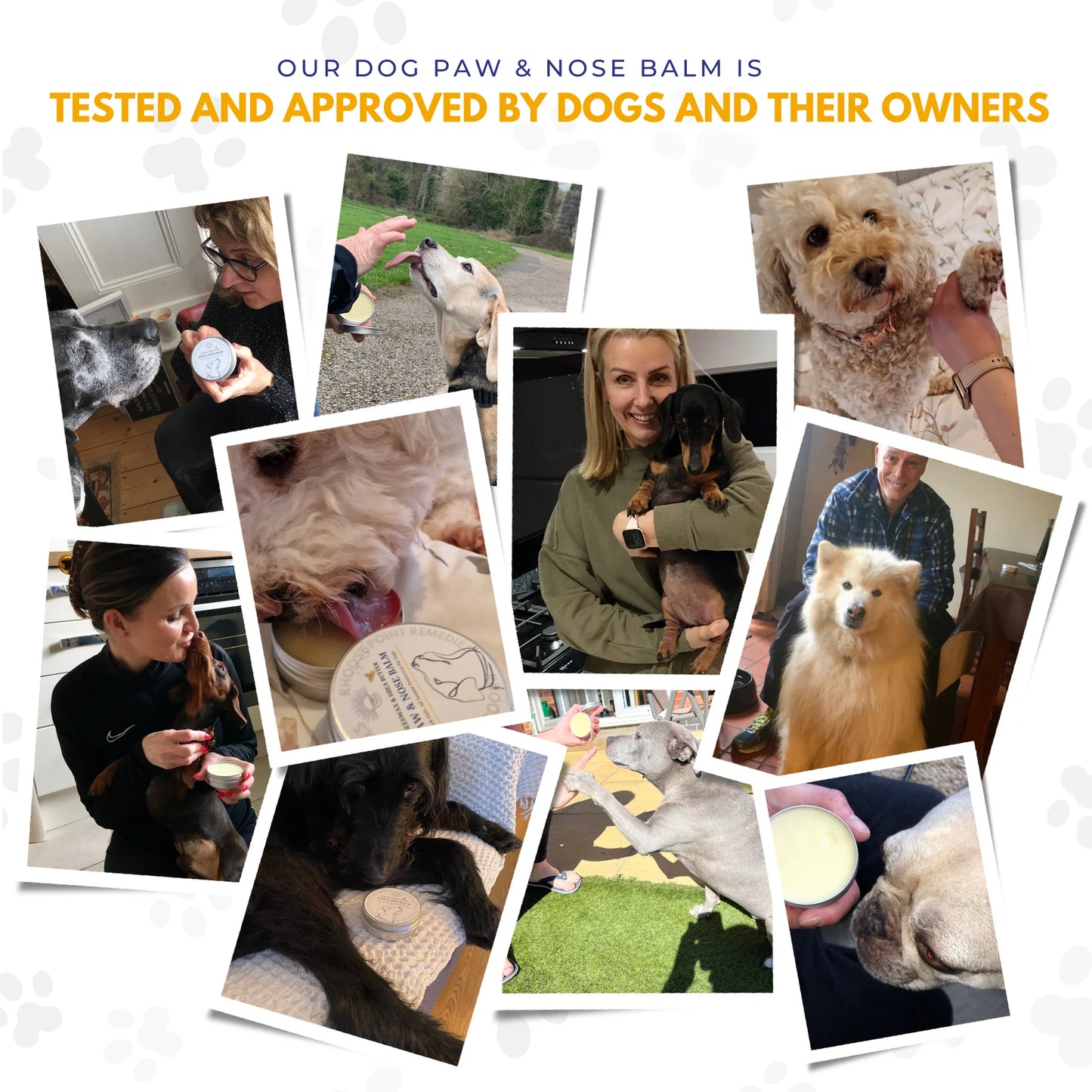 dogs and owners