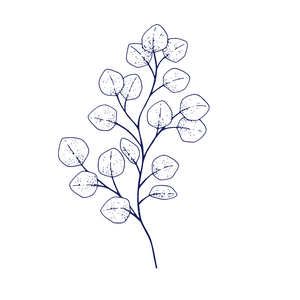 Eucalyptus ingredient in Lavender Pillow Spray