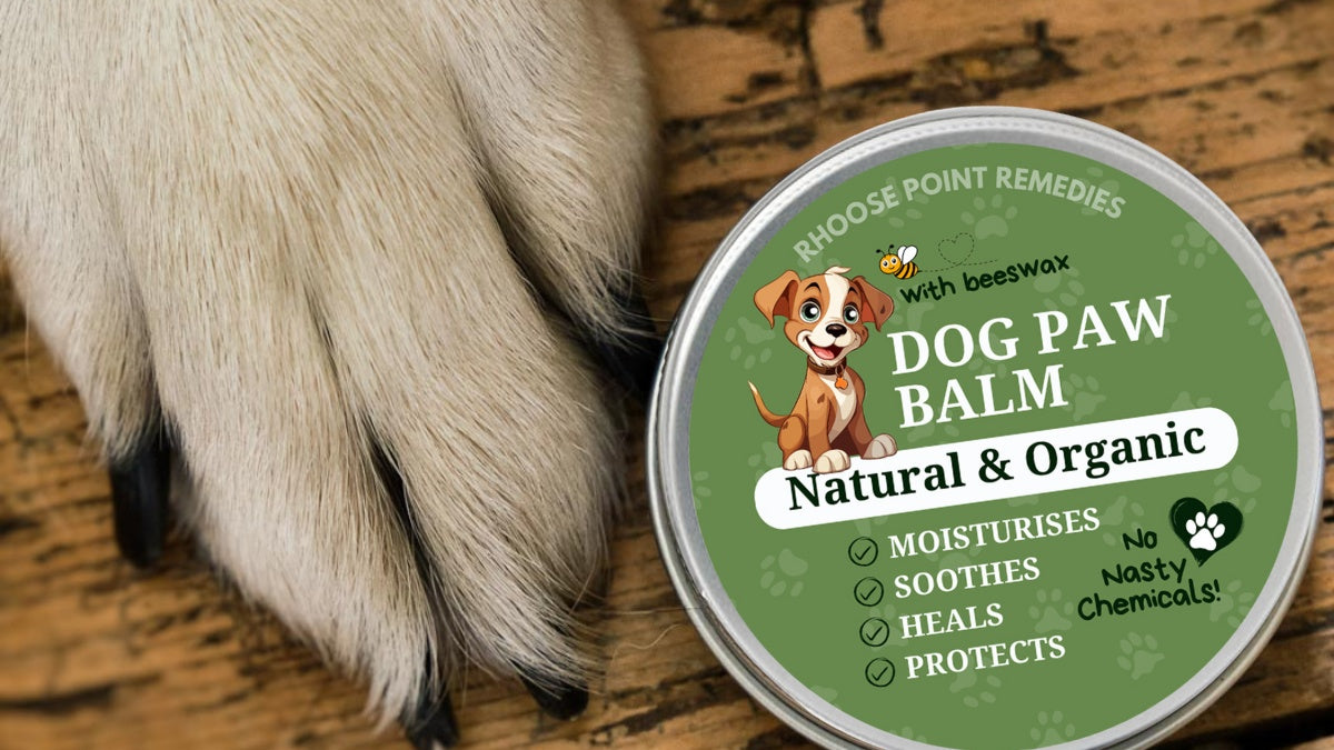 Dog paw balm container with a dog paw on a wooden surface