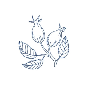 Rosehip skin soothing oil