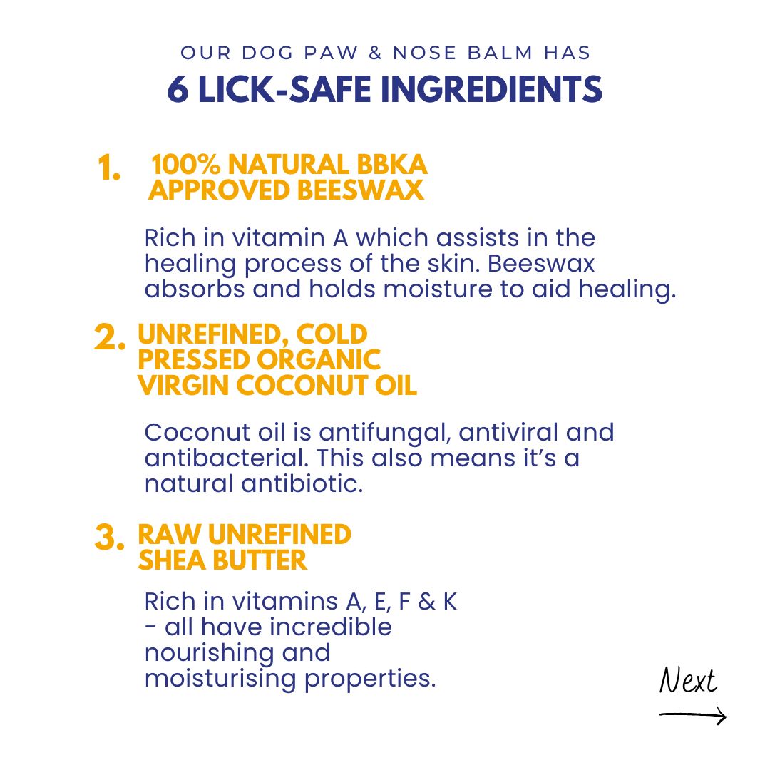 Natural dog paw nose balm