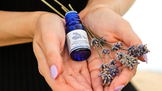 What You Didn't know About Lavender Oil