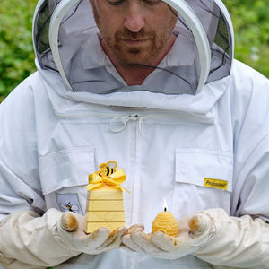Beeswax Beehive Candle Model