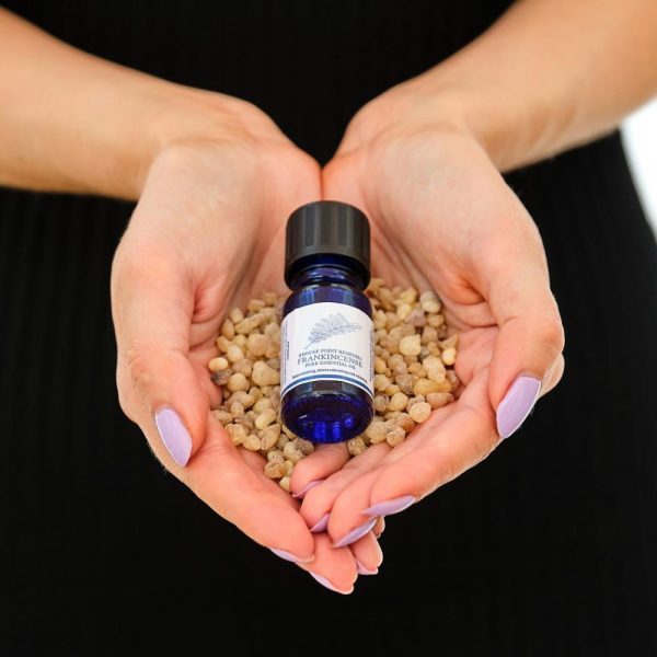 Hands Holding Organic Frankincense Essential Oil