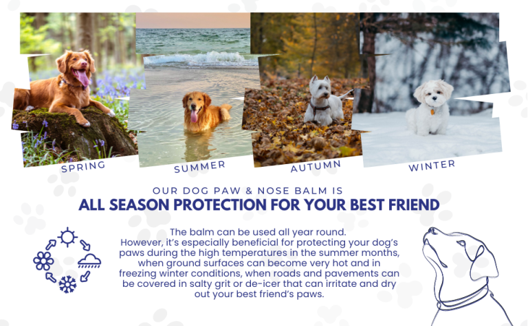 All Season Protection for your dog with Rhoose Point Remedies Dog Paw And Nose Balm