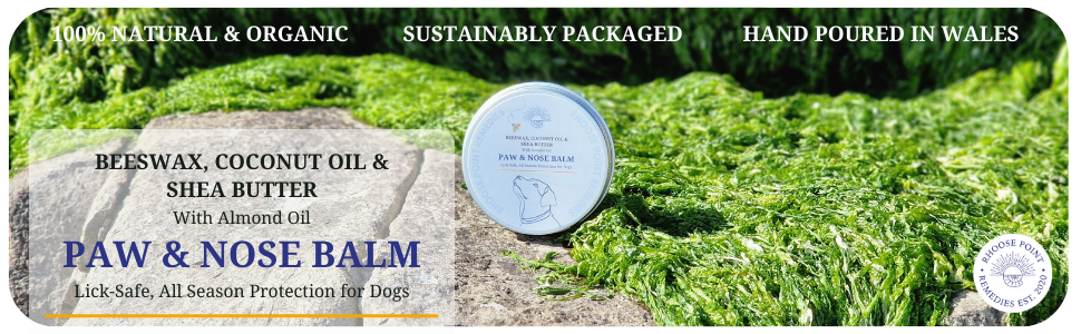 Rhoose Point Remedies Natural Dog Paw And Nose Balm sitting on a rock of moss