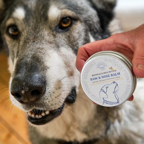 Banjo and dog paw and nose balm from Rhoose Point Remedies